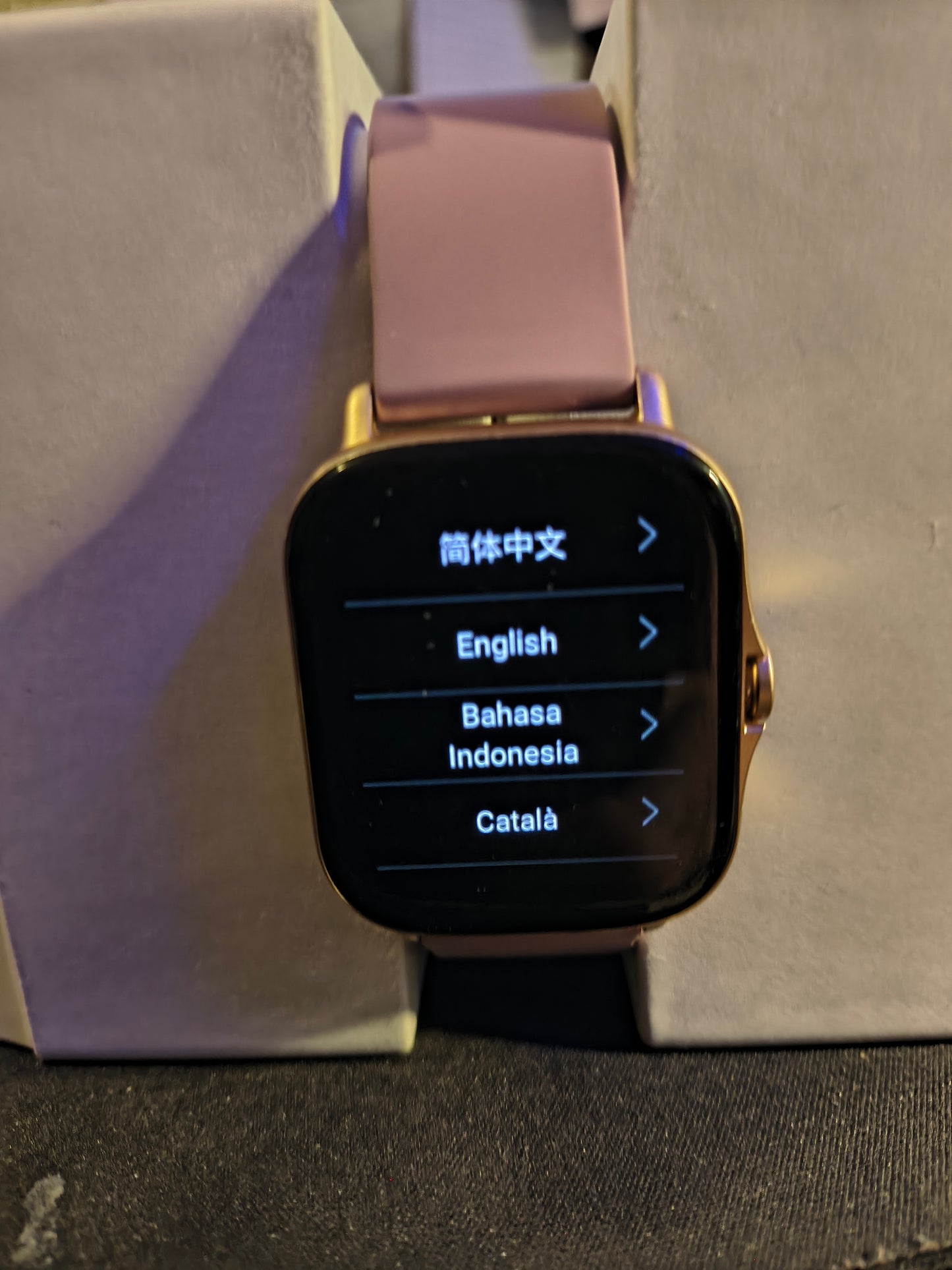 Amazfit GTS 2e